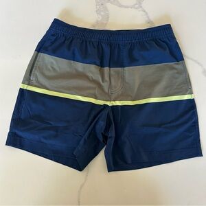 Chubbies shorts 5.5" inseam